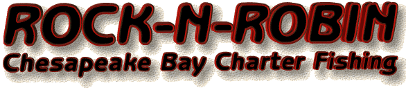 Rock-N-Robin Charter Fishing